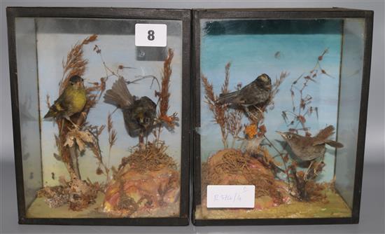A pair of taxidermic groups